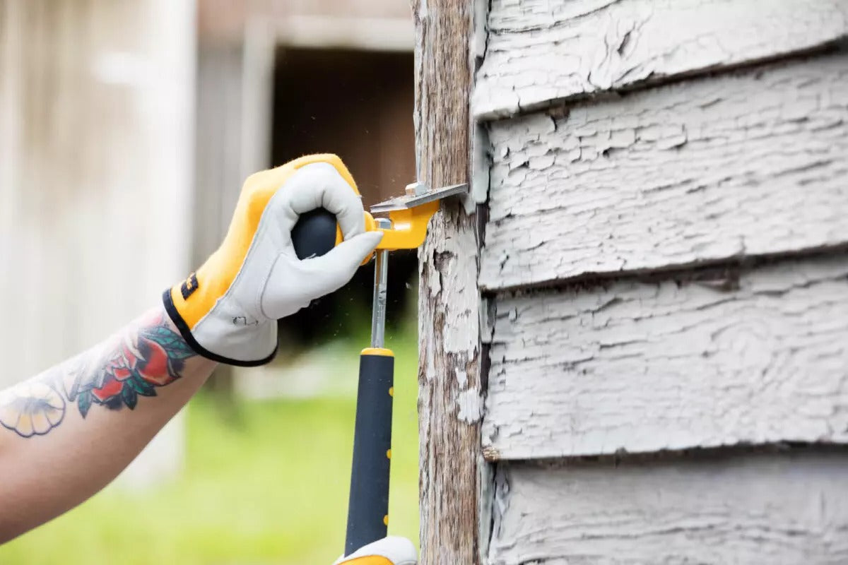 Grattoir/meuleuse à sec